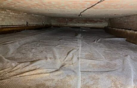 Screenshot_20230410_134925_Gallery