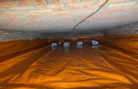 Screenshot_20230410_135015_Gallery