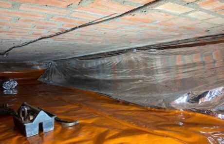 Screenshot_20230410_135031_Gallery